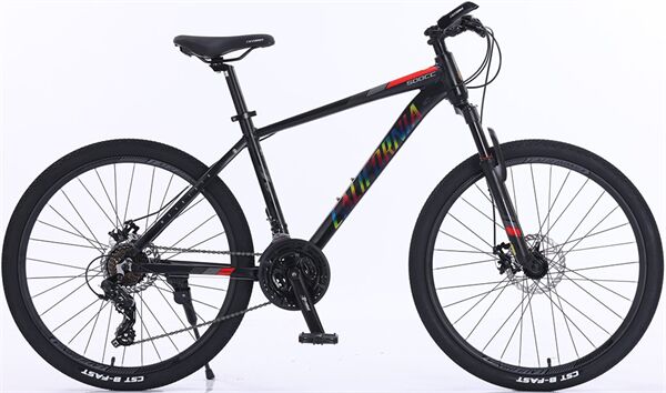 Xe đạp địa hình thể thao California 500CC 2025